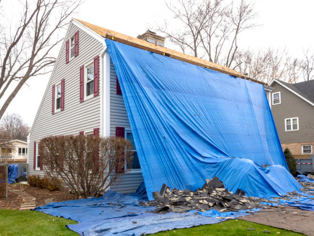 Best Demolition Debris Removal  in Shackle Island, TN